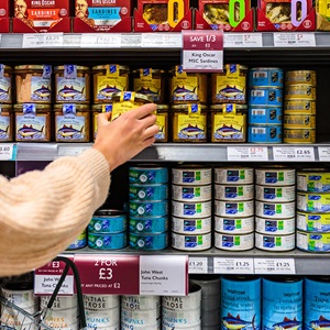 Where to find MSC certified products