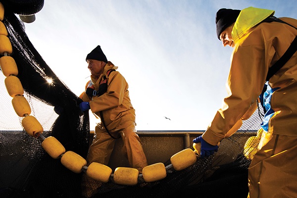Fishery certification guide