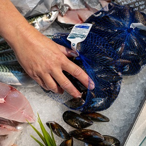 What species to eat in the UK