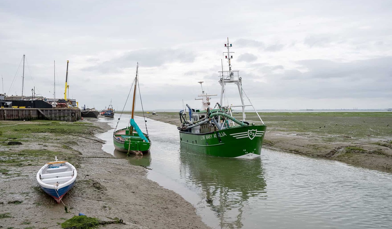 Mary Amelia boat