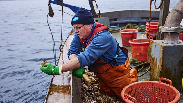 The MSC Fisheries Standard