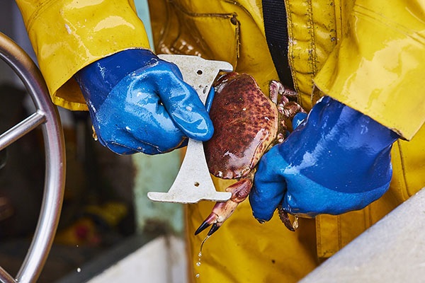 What is sustainable fishing?