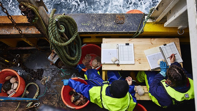 Blue ecolabel is key driver of sustainability in UK fishing industry