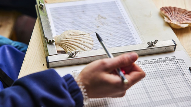 The role of science and reaserch